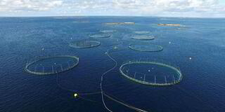 Bilder er fra AtoN sitt anlegg på vannet